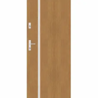 A21 - drzwi antywłamaniowe z aplikacjami nowoczesne